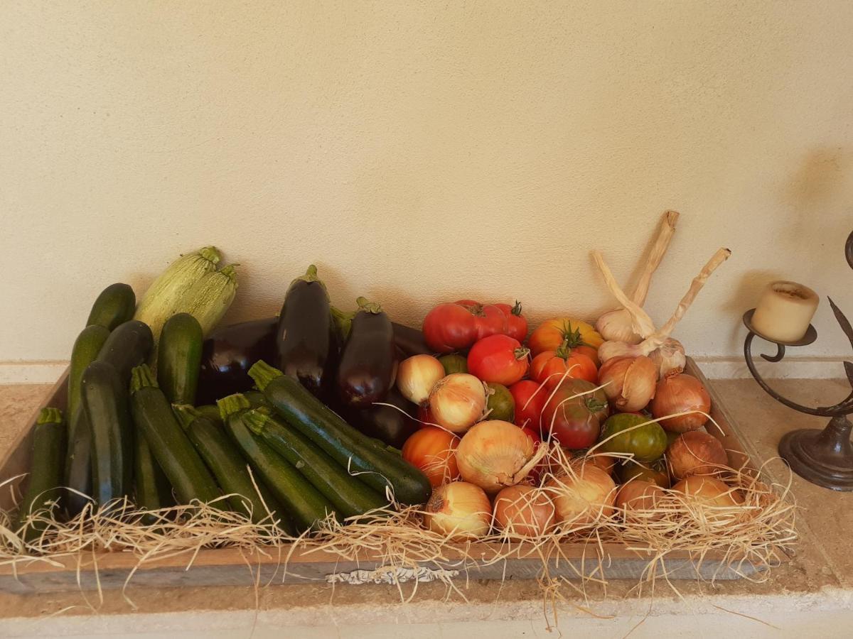 Location Vacances Gillardin Maussane les Alpilles Bagian luar foto